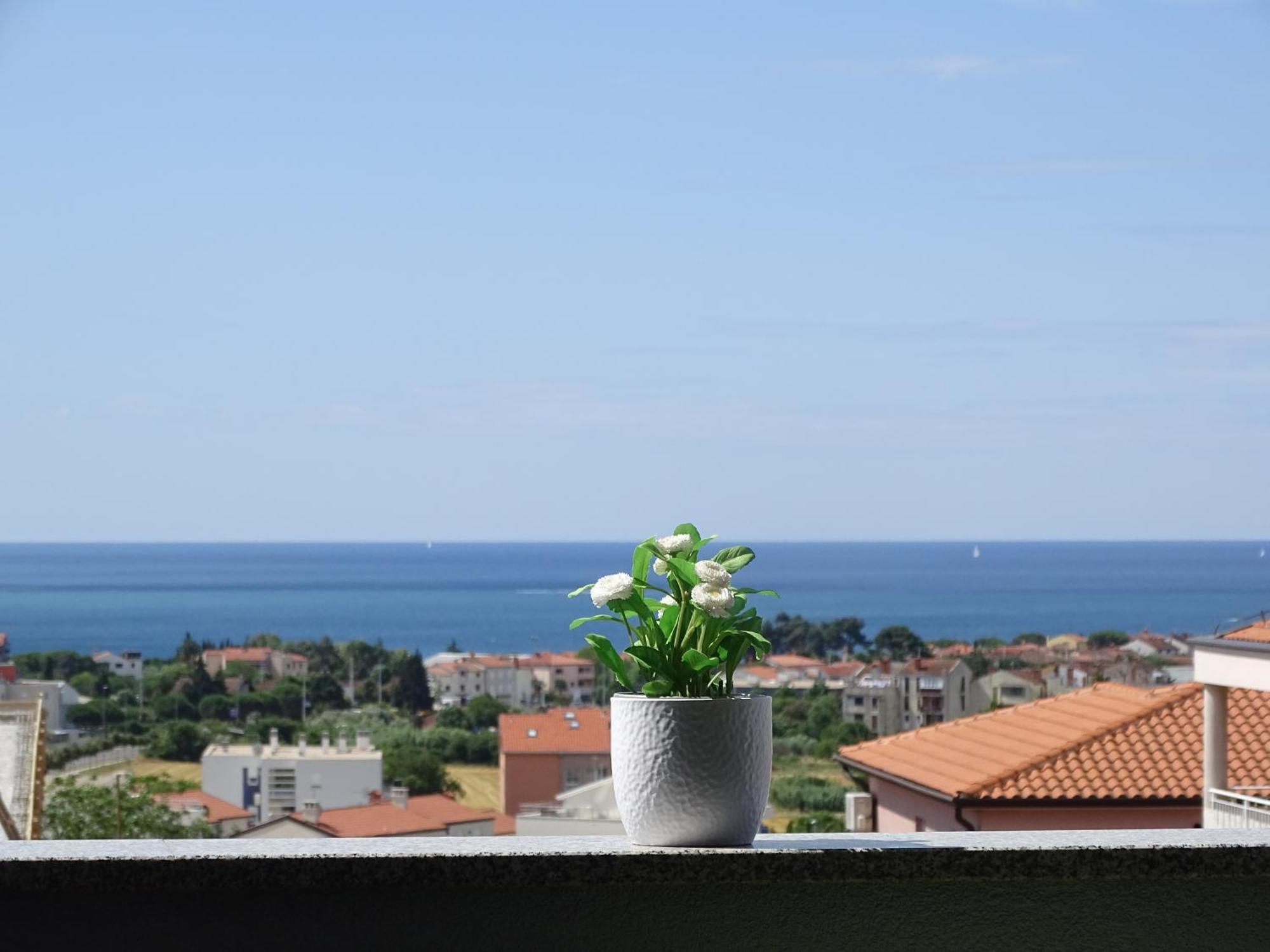 Apartment Bellavista Novigrad Istria Exterior foto